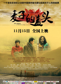 大尺度视频在线